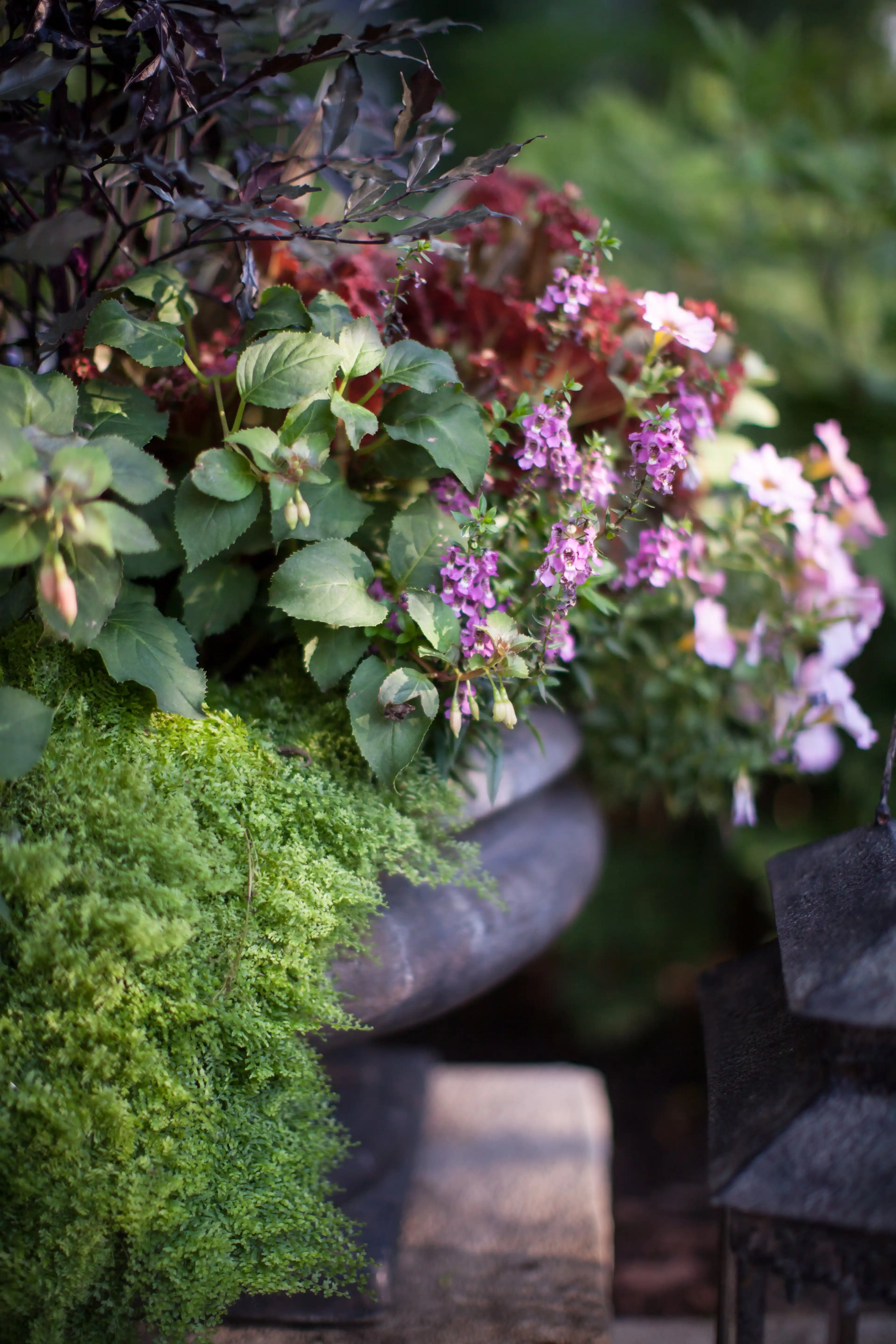 5 Exciting Container Combinations for the Garden