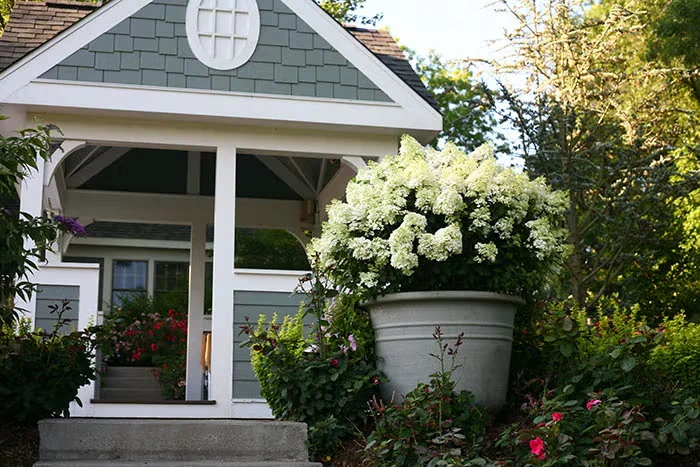 Advice on Growing Shrubs in Containers