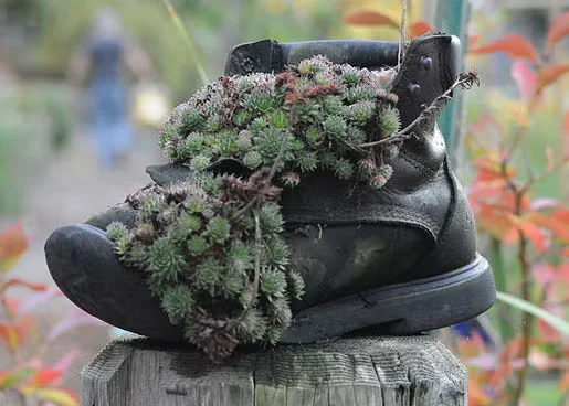Did You Wear Out Your Gardening Shoes?
