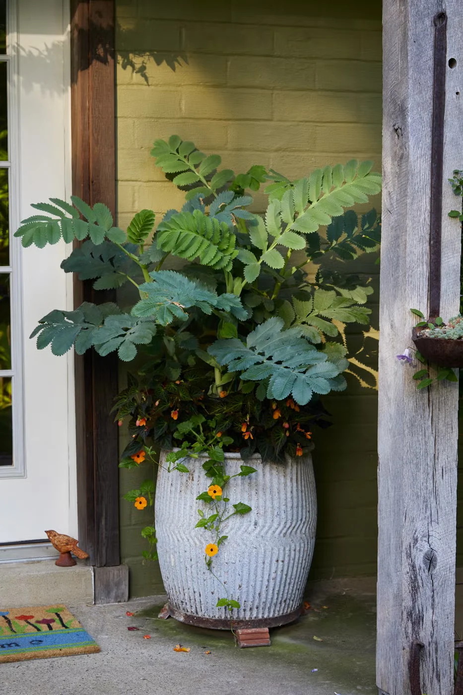 Foliage-Focused Container Garden Ideas for Summer