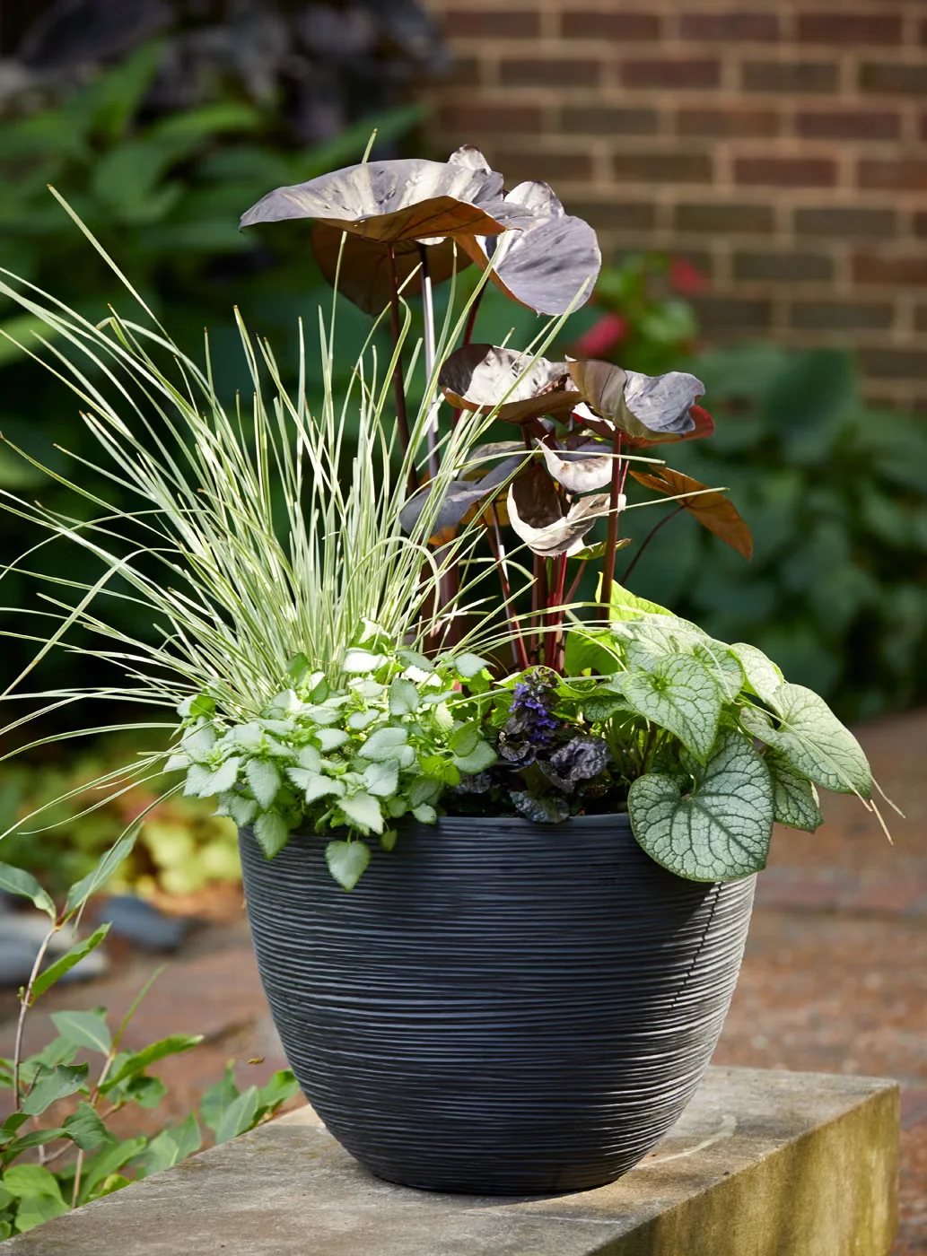 Container design by Karen Chapman