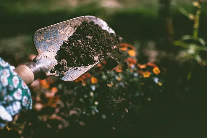 Homemade Potting Mix with Compost
