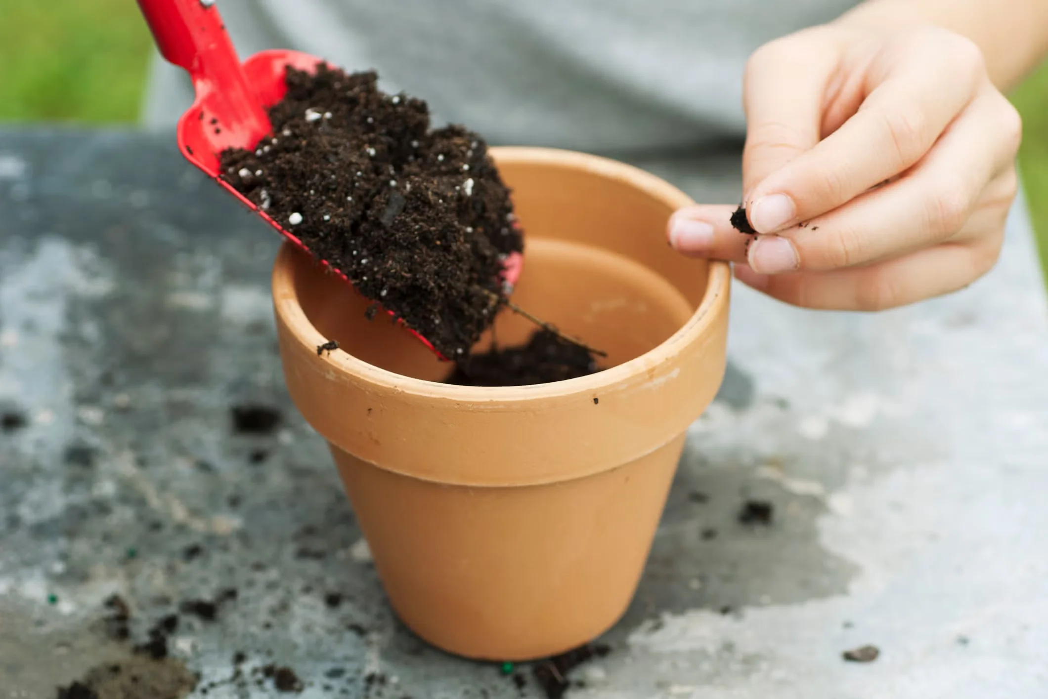 Dr. Linda Chalker-Scott recommends filling the entire container with potting soil. It's a myth that gravel in containers is smart gardening.