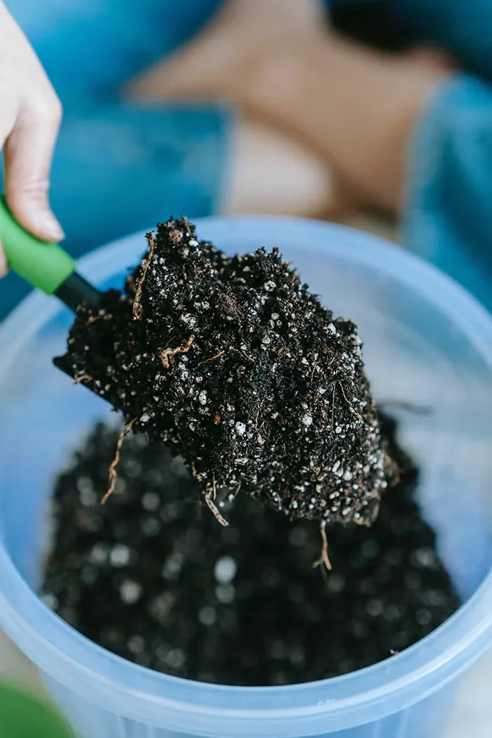 Old Potting Soil: What to Do With It