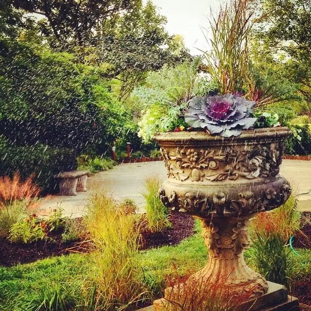 Tips for Dressing up the Autumn Garden